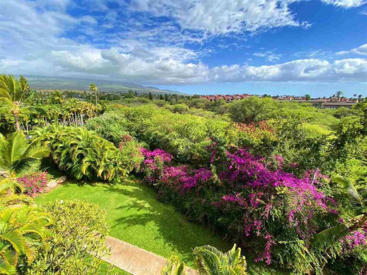 Penthouse 1 Bd King Suite With Ocean Views! Wailea  Exteriör bild
